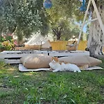 Ruina Glamping Kamp alanı *