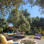 Ruina Glamping Kamp alanı