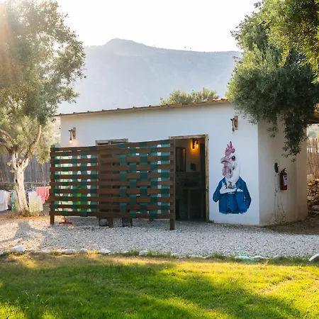 Kamp alanı Ruina Glamping
