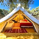 Ruina Glamping * Mezgit
