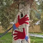 Ruina Glamping * Mezgit
