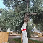 Ruina Glamping Mezgit