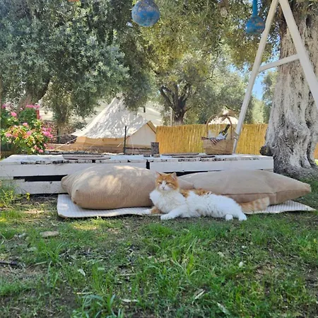 Ruina Glamping Campsite *