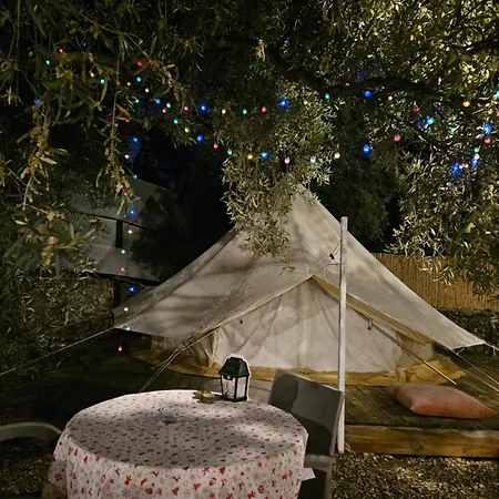 Ruina Glamping * Mezgit