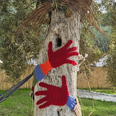 Ruina Glamping * Mezgit