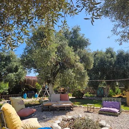 Ruina Glamping Campsite